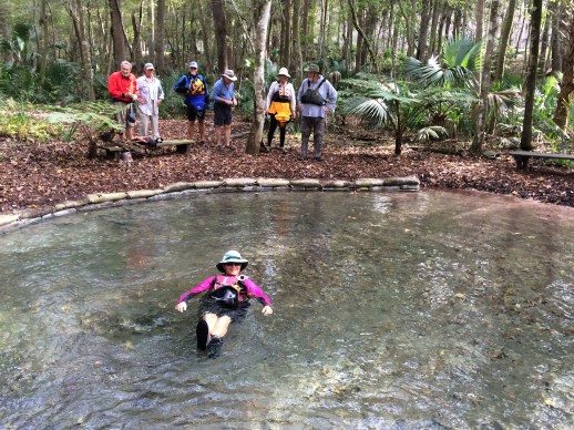 floating-in-satsuma-springs-by-sam-carr