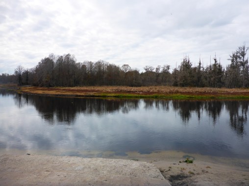 2016-01-26 12.20.26.jpg