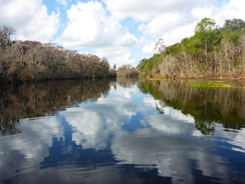 River withclopuds2.jpg