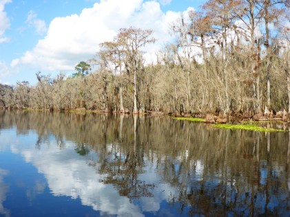 riverand clouds3 copy.jpg