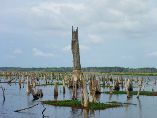 2016-03-17 10.26.26.jpg