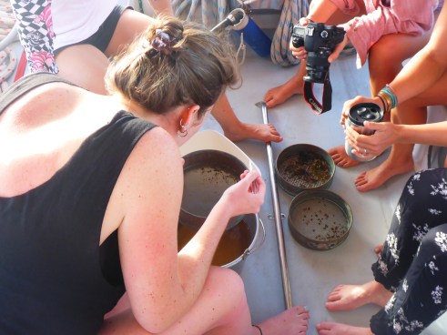 Doing science on deck8