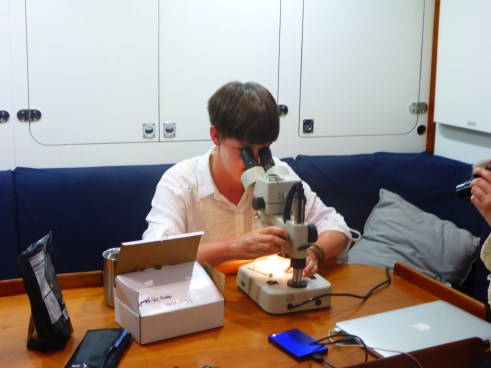 searching for microbiology and plastics partices