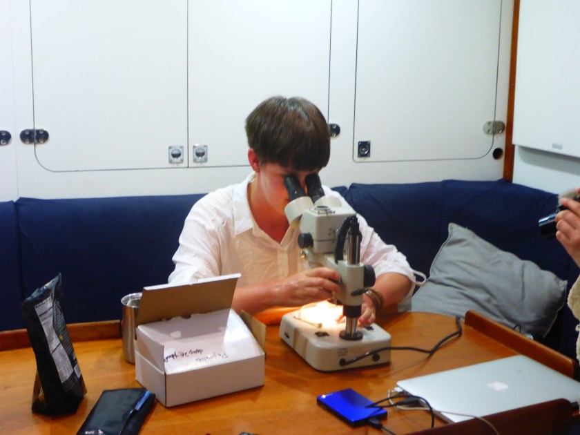 searching for microbiology and plastics partices