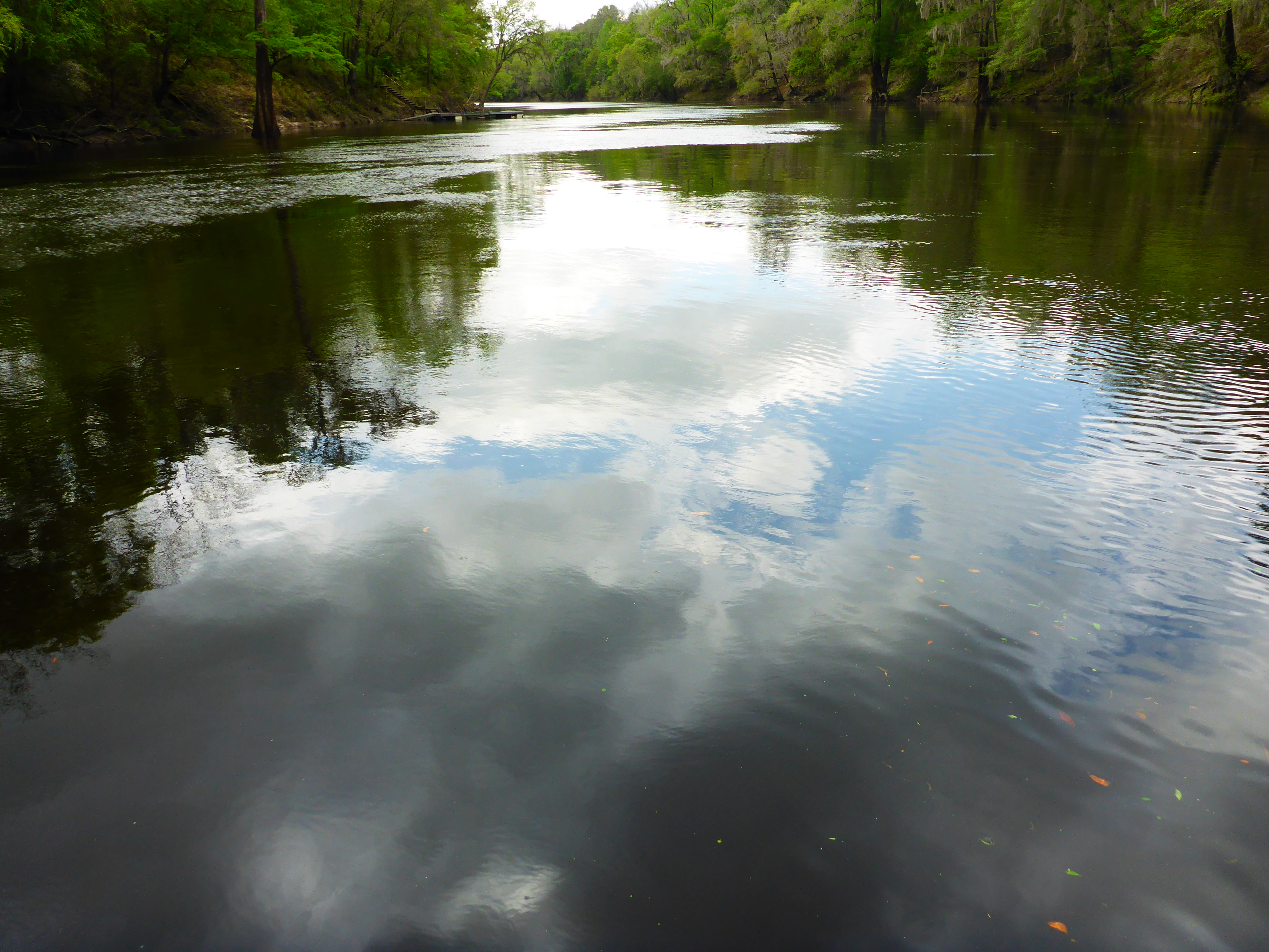 Blue skies on the Suwannee River.jpg
