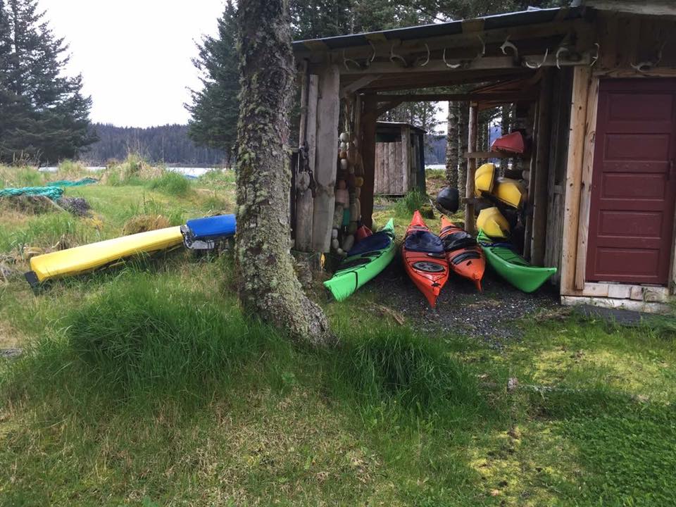 13100912_10207938446231639_3032237687424183730_n