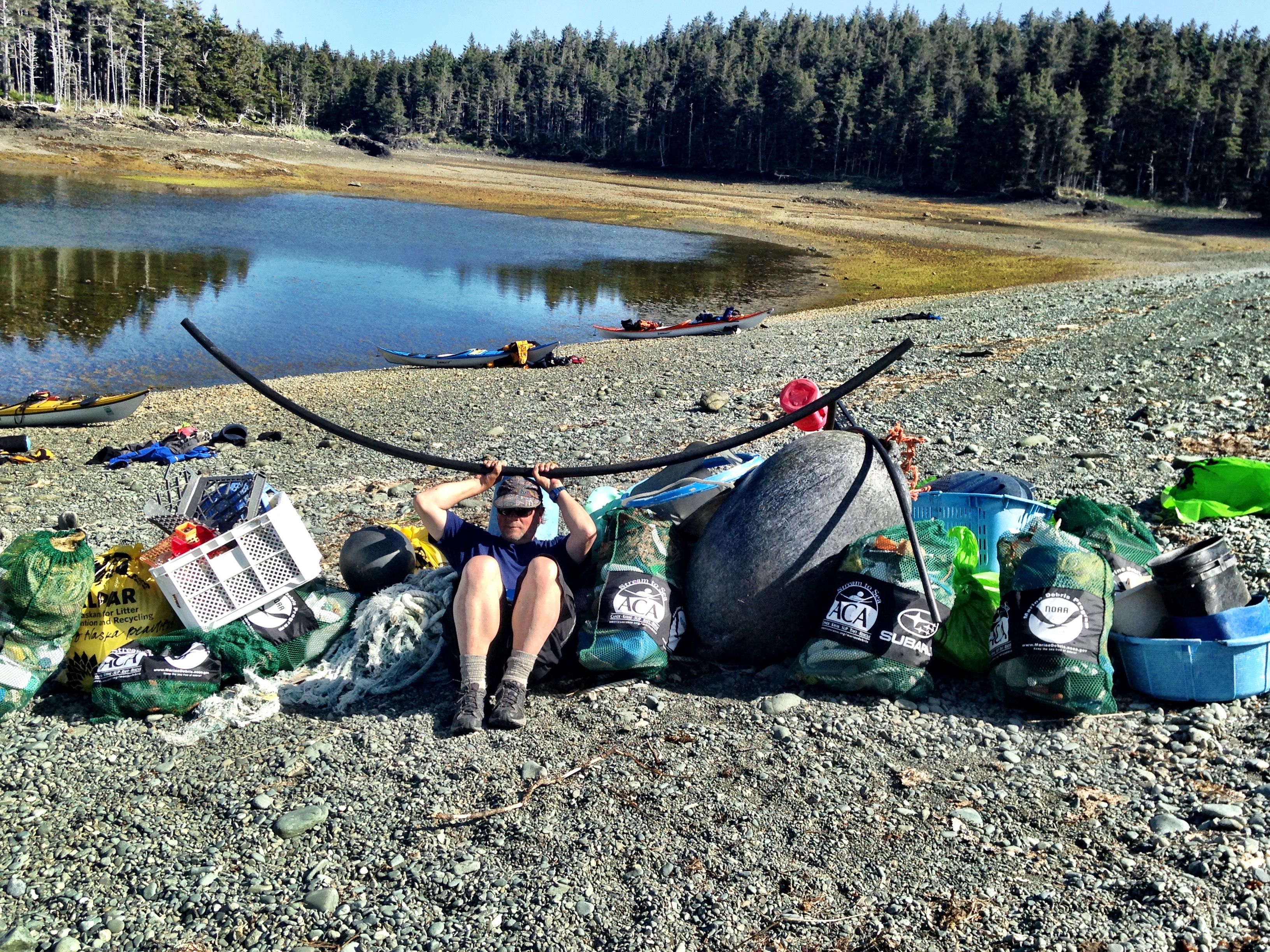 Dead Bird Beach, Alaska