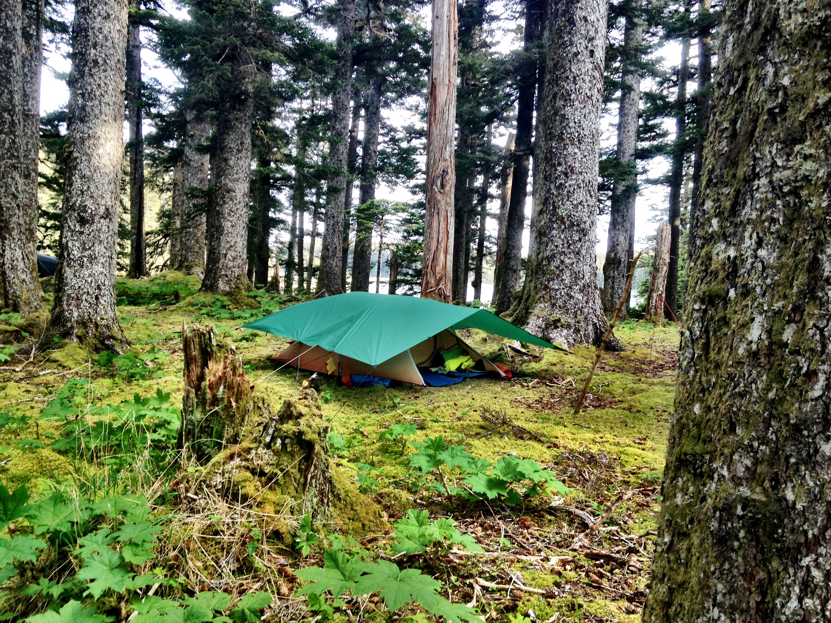 Tent at Big Bay ranger station, Alaska