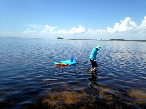 Searching for scallops