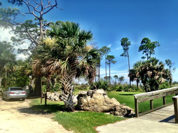 Hagens Cove Park
