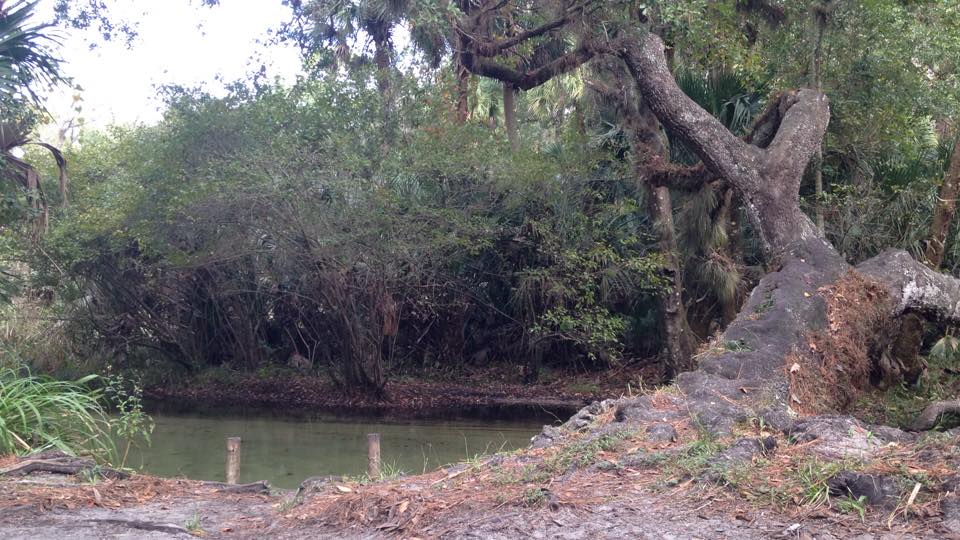 view-from-otter-camp