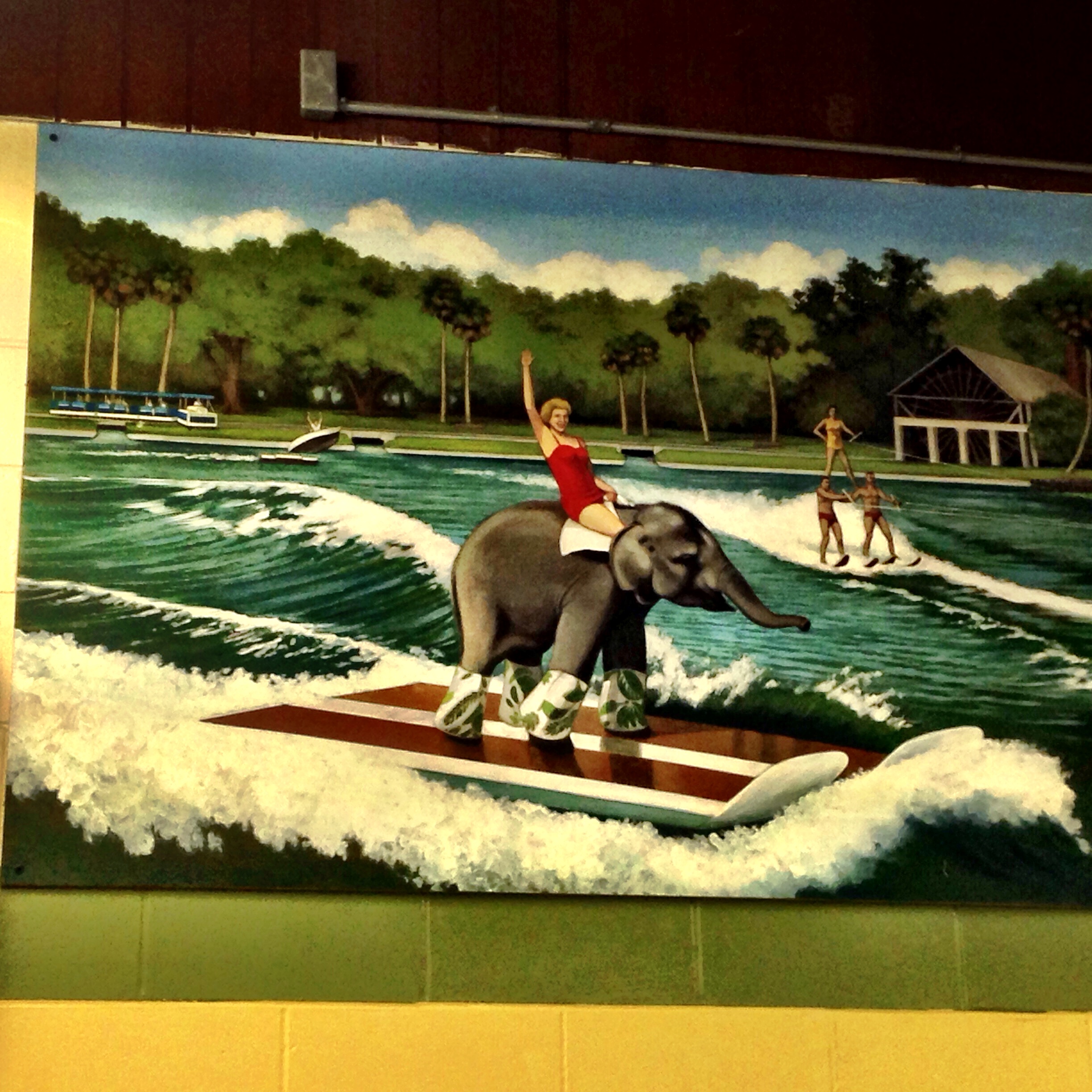 Queenie the water-skiining elephant