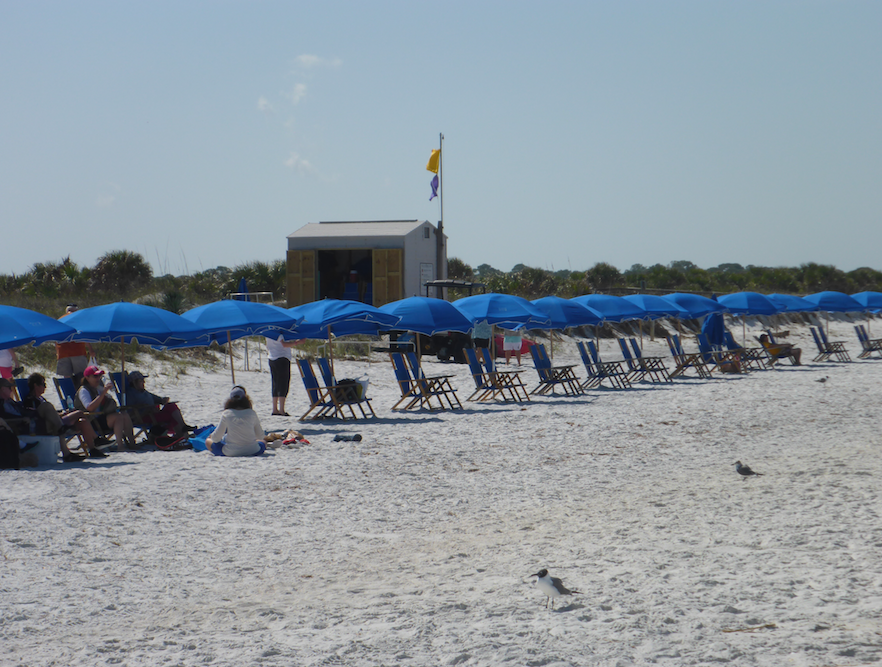 Umbrellas on beach