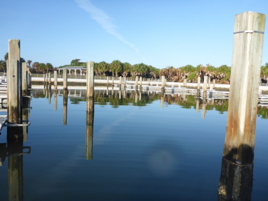 empty boat slips in Caladesi Marina