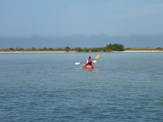 Kayakers near north end of Caladesi