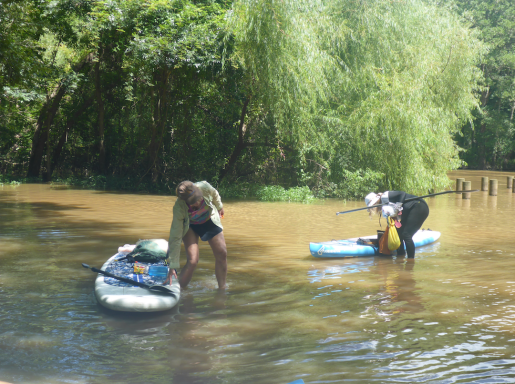 Coming in for a landing