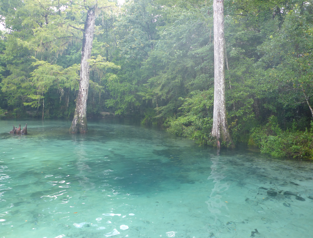 Ponce de leon Springs