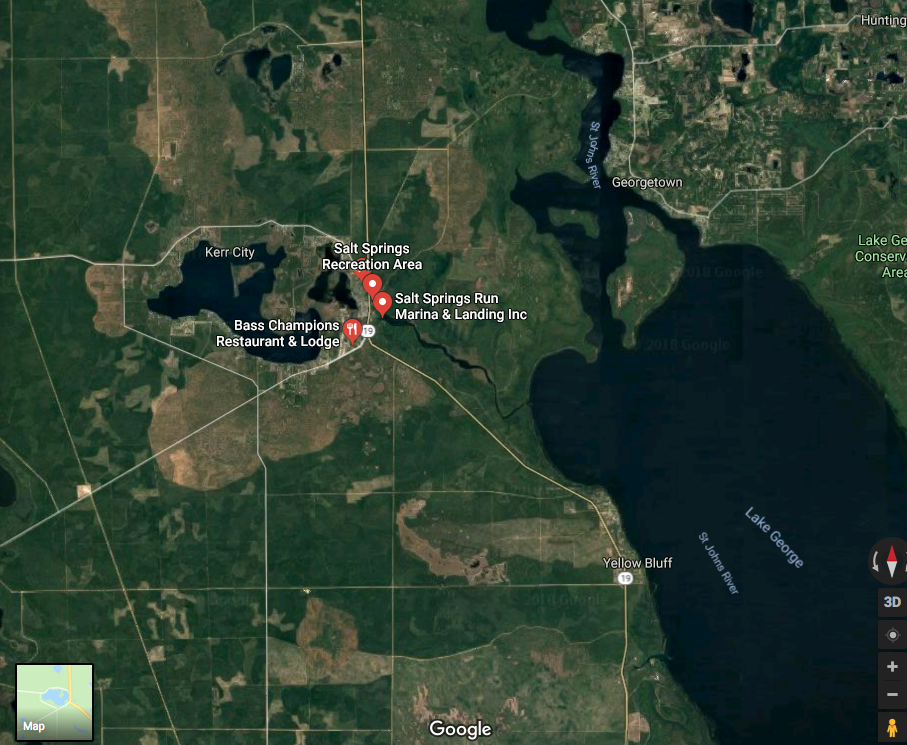 Salt Springs Area Map