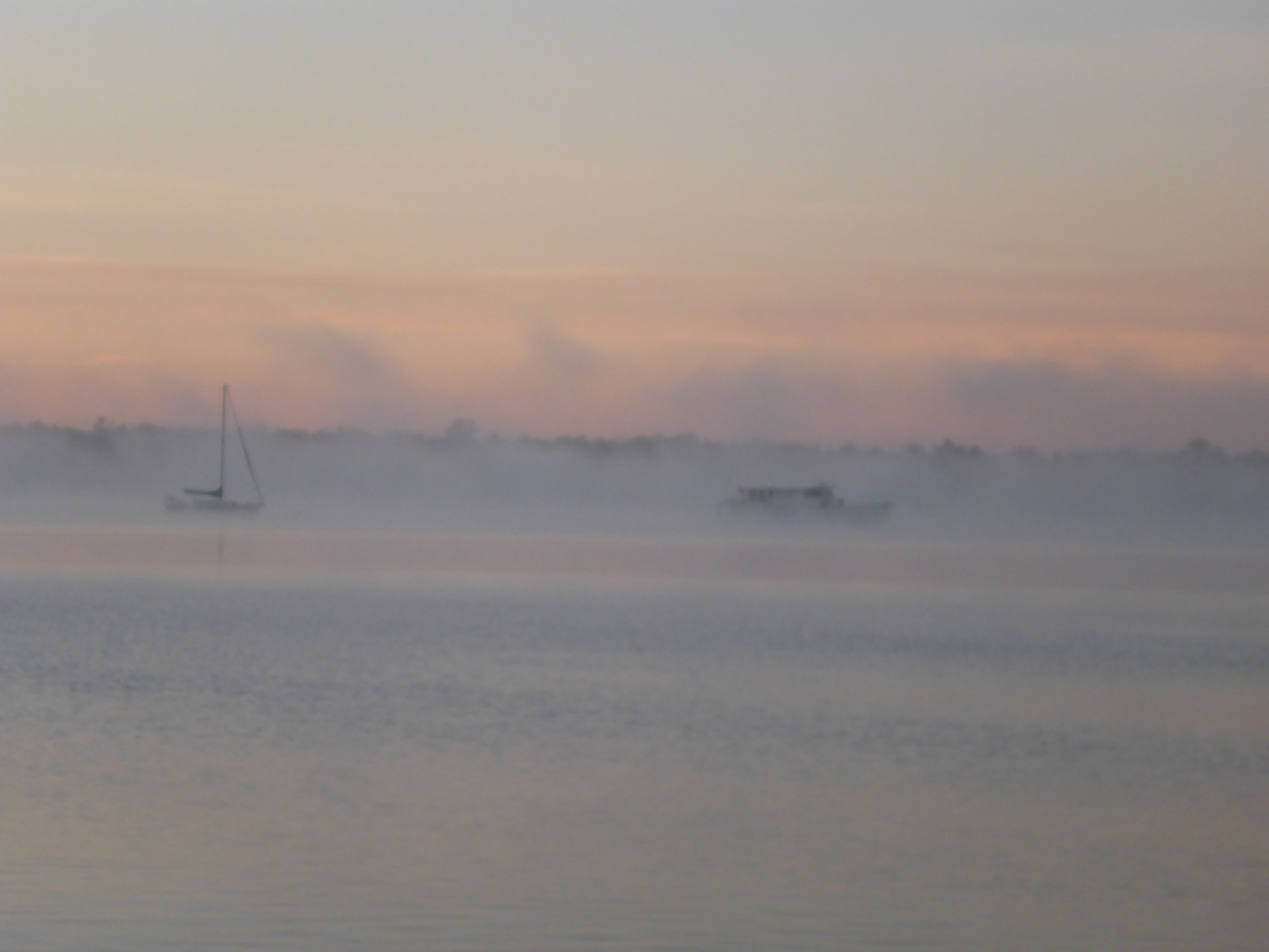 fog rising over Palatka