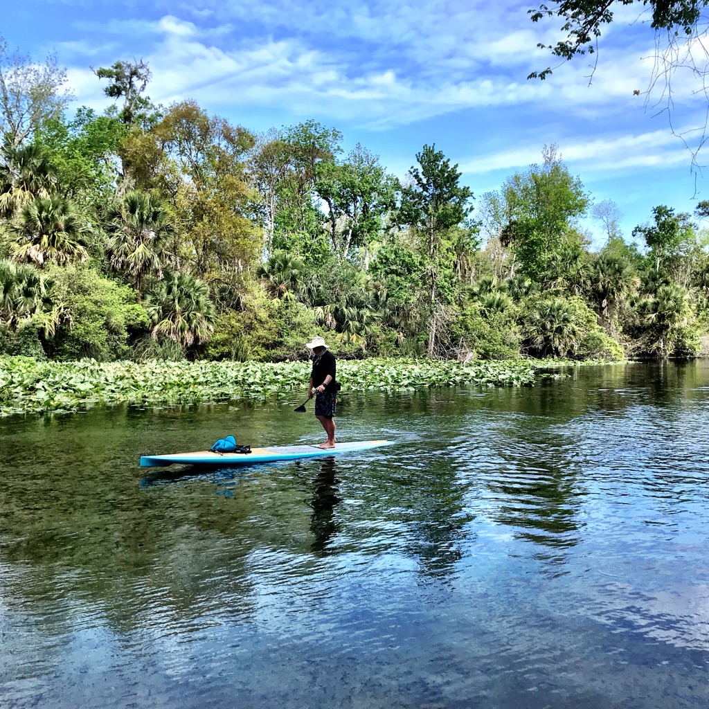 qjr6QQssQaSC%%cTSdUEiA_thumb_34e0