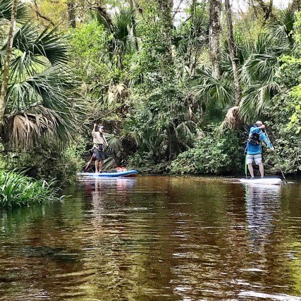 vR5SnUMzQce7Hqe8JRZkhQ_thumb_34d8