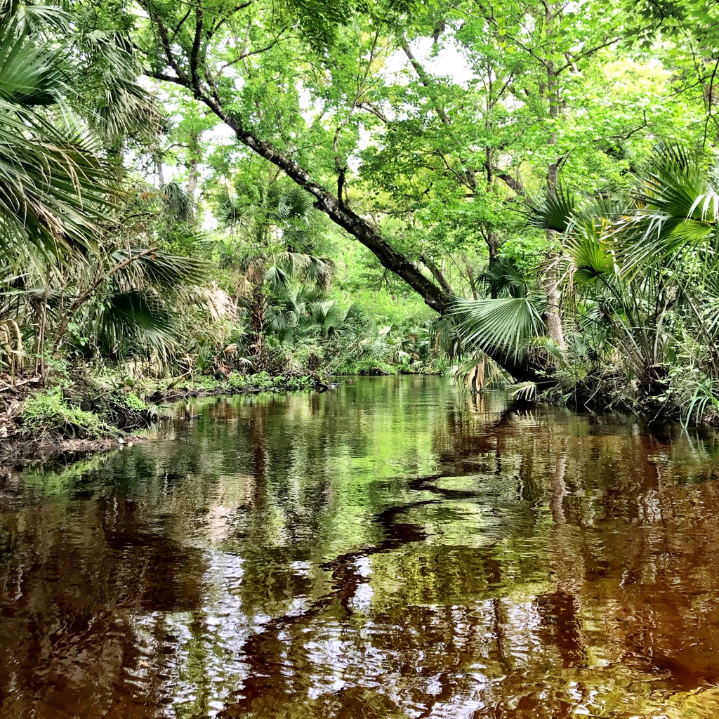 xsPJQmLmQ0uArO6hjdR+1w_thumb_34dc