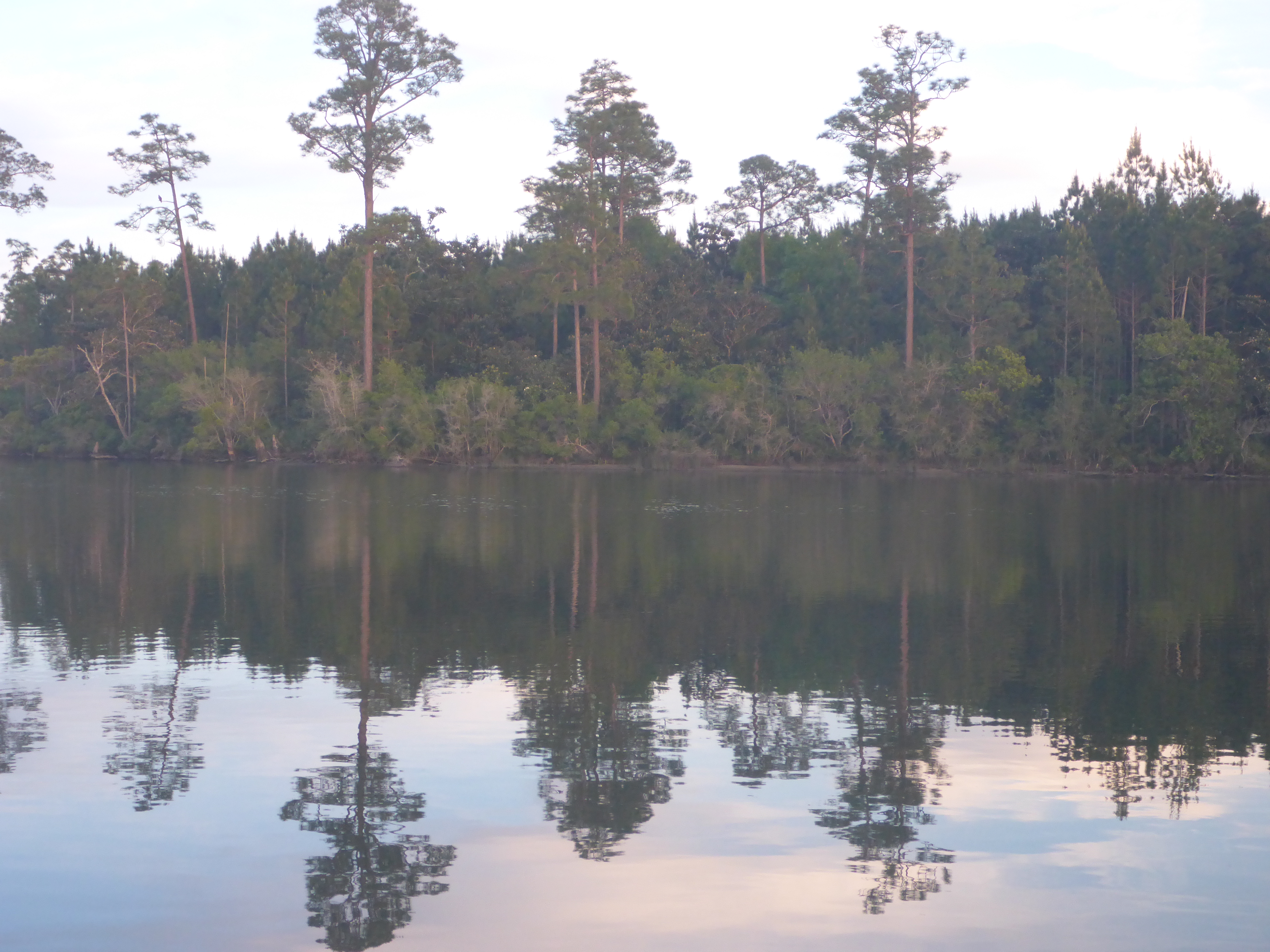 Ingram bayou reflections