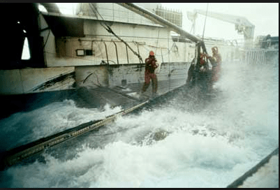 Screen Shot 2019-05-22 at 1.57.41 PM