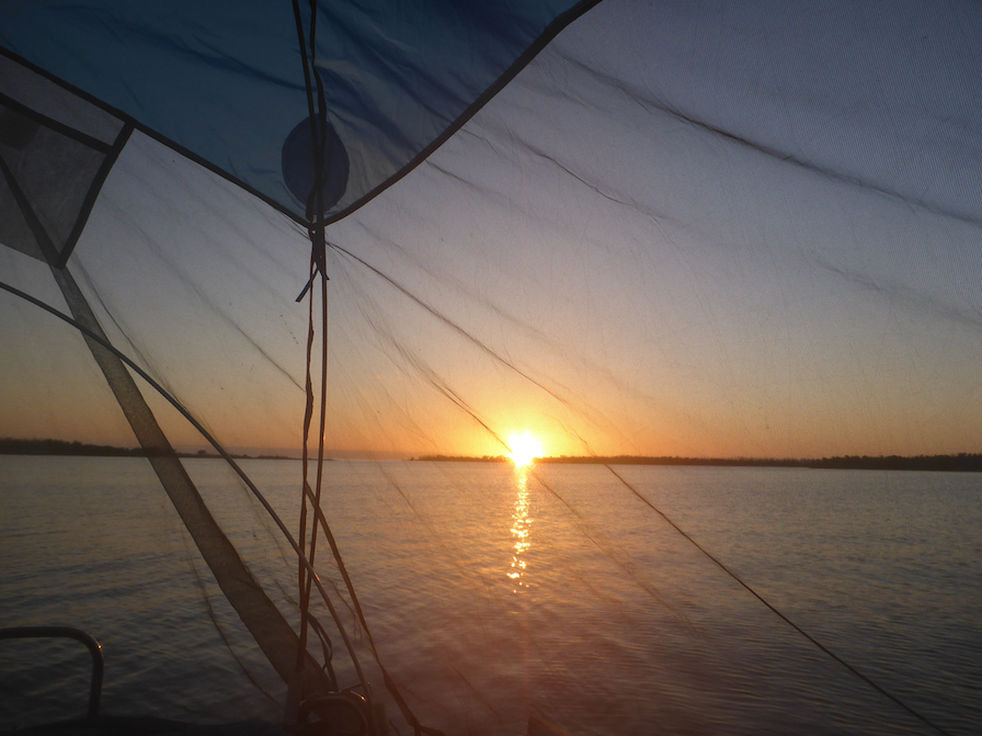 Three cheers for Kevin's bug screen