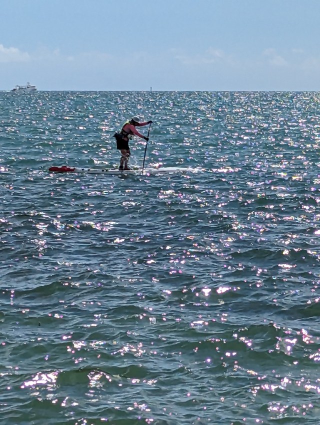 Racing around Key West on a Paddleboard – Florida Waterscapes